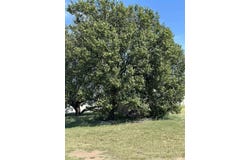 400 S Leach, Watonga, OK 73772