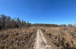 003 Brushy Hammock, Mayo, FL 32066
