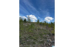 2730 GLOVERS BEND ROAD, DORA, AL 35062