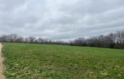 (21.23+/-ac) Tract #7 Horstman Road, New Haven, MO 63068