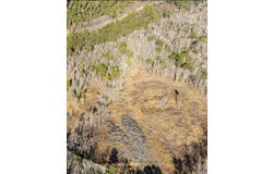 CO RD 69, Guin, AL 35563