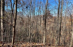 Lot 49j Indian Trail, Hayesville, NC 28904