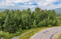 11 Golden Heights Road, Waterville Valley, NH 03215