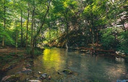 12970 State Route 56, Altamont, TN 37301