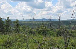 2 TBD Saloniaa Road, Leflore, OK 74942