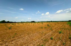 14839 Westfall Road LOT 4, Chillicothe, OH 45601