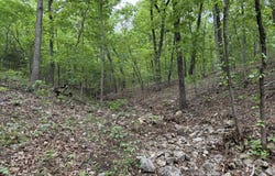 40 Ridge Road, Hardy, AR 72542