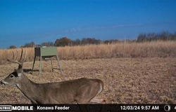 TRACT 5 EW 1430 Rd., Konawa, OK 74849