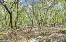 115 CORAL Avenue, Interlachen, FL 32148