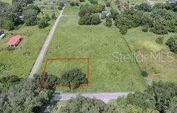 CR 763, BUSHNELL, FL 33513