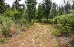 40111 SE Fairview St, Outside City Limits, OR 97360