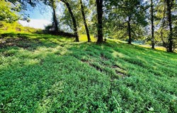 Clyde Ed Rd lot: 207, Kodak, TN 37764