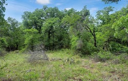 Comanche Moon Drive, Mingus, TX 76463