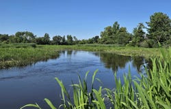 1019 MILL POND Circle, WEYAUWEGA, WI 54983
