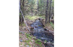 NHN Little Deer Drive, Plains, MT 59859