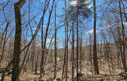 00000 Palisades Road W, Old Forge, NY 13420