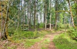 38220 BOSCAGE Ln, Springfield, OR 97478