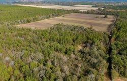 N Bob Brooks Road, Baker, FL 32531