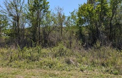 000 111, Chinquapin, NC 28521