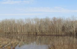 01  Peregrine Road, Idael, OK 74745