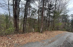 Lot 007b Shagbark Hickory Ridge, Sevierville, TN 37862