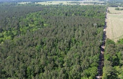 0 Sullivent Rd, Folsom, LA 70446