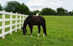 Bridle Parc Lane lot: 2, Kansas City, MO 64152