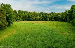 651 Fairview #4 Rd, Salvisa, KY 40372