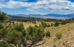 1054 Keepsake Loop, Westcliffe, CO 81252