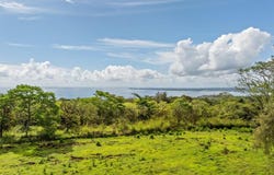 PLANTATION RD lot: 22, Papaikou, HI 96781