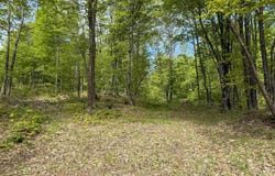 TBD Off State Highway M-26, Painesdale, MI 49955