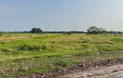 ELM BRANCH lot: 6, Elm Mott, TX 76640