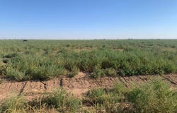 Bt14 Voorhees Road, Amarillo, TX 79124