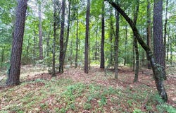 SE Freeman Road, Summit, MS 39666