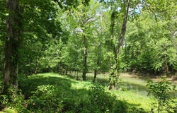 TBD Doc Gray Road, Maynard, AR 72444