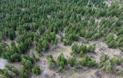155 Lonesome Lane, Rexford, MT 59930