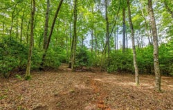 J 34 Cherokee Point, Lake Toxaway, NC 28747