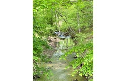 Lot 7 Thayer Road, Trinity, NC 27370