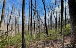 10.02 Acres TBD Rock Garden Road, Black Mountain, NC 28711