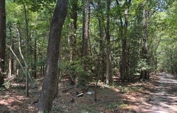 0000 Old Ferry Road, Mathews County, VA 23076