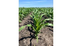 46160 SD Hwy 15, Wilmont, SD 57279