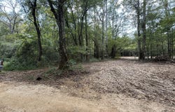 SW Dalton Lane, Smithdale, MS 39664