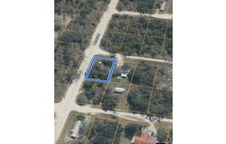 NE 119TH Terrace, WILLISTON, FL 32696