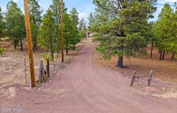 Tbd County Road N2144, Alpine, AZ 85920