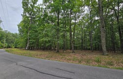 SIDELING MOUNTAIN TRAIL - LOTS 64 & 65, GREAT CACAPON, WV 25422
