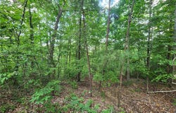 932 Apex Court, Ranger, GA 30175