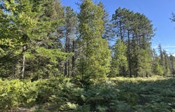 15796 N Whitefish Point Rd, Paradise, MI 49768