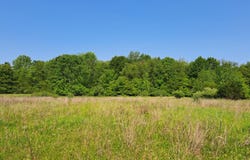 2 Acres Vl 36th Street, Gobles, MI 49055