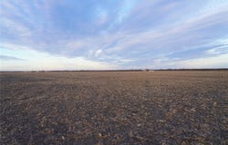 Highway 69, Celeste, TX 75423
