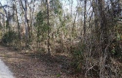 NE Cedar Trail, Pinetta, FL 32350